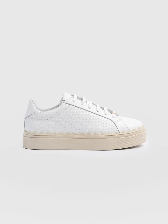 Saint And Sofia All Sneakers Women Brook Scallop Sneaker 8211 White White