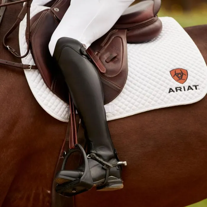 English Riding Boots Men Ariat Nitro Max Tall Riding Boot Black English Riding Boots Men Ariat Nitro Max Tall Riding Boot Black