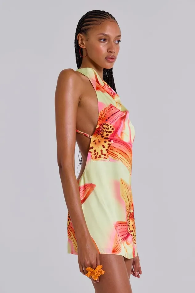 Jaded London Mini Dresses Women Lucia Backless Mini Dress With Flower Detail Light Floral