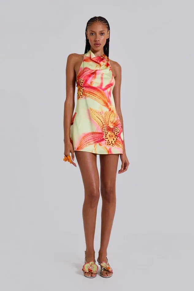 Jaded London Mini Dresses Women Lucia Backless Mini Dress With Flower Detail Light Floral