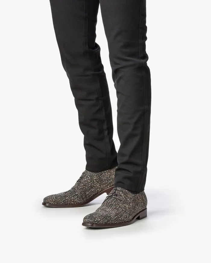 Lace Shoes Men Floris Van Bommel De Stijler 2308 Printedleather