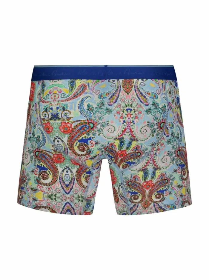 Men Robert Graham Pajamas and Underwear Colorful Paisley Single Boxer Brief Multi